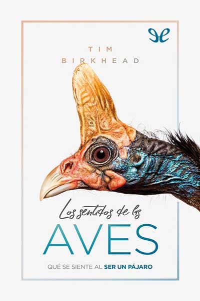 Los sentidos de las aves : qué se siente al ser un pájaro