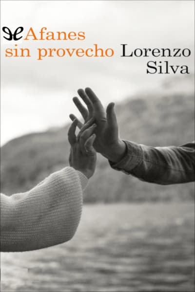 Afanes sin provecho