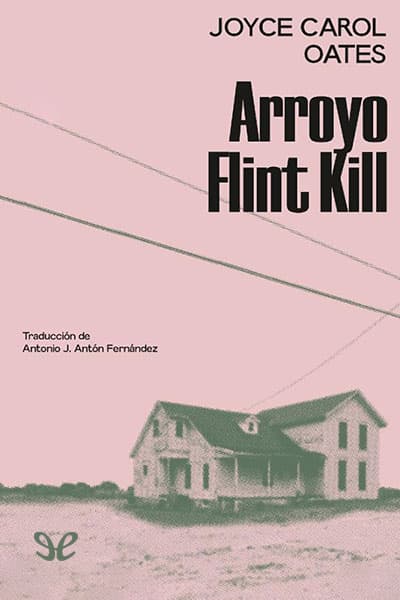 Arroyo Flint Kill